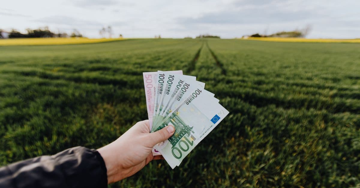 Crop unrecognizable farmer with one hundred and five hundred euro banknotes in hand in large green rural field on summer day