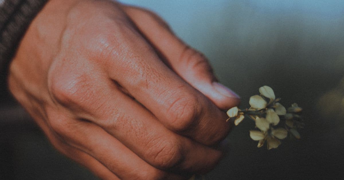 A close-up image of a hand gently holding small wildflowers, showcasing texture and nature.